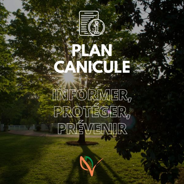 Plan canicule - site (1).jpg